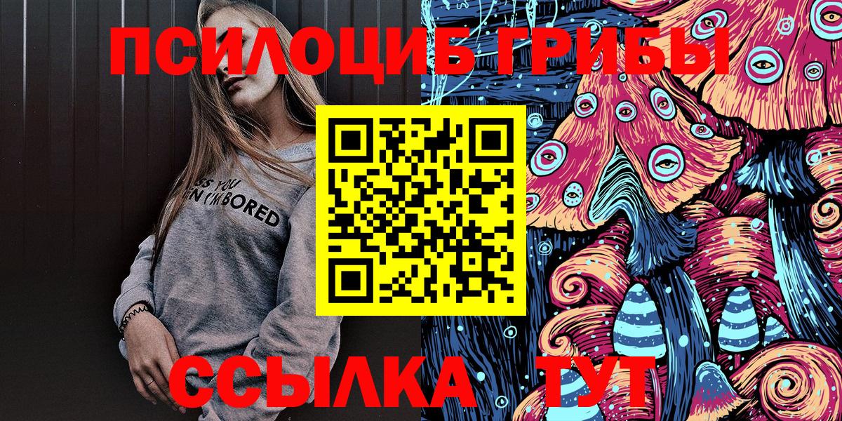 Свободный  Псилоцибиновые грибы Psilocybine cubensis  Вход с VPN 